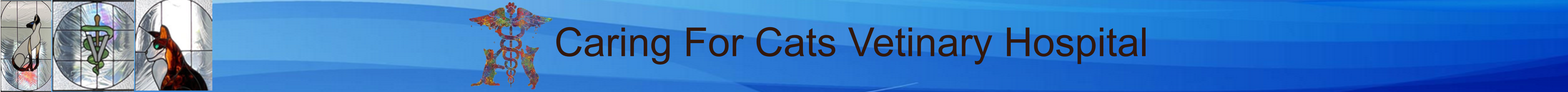 catz home banner3